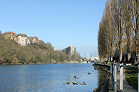 Sentier des Saules à Genève près du Rhône face au Jet d'eau