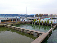 Les Bains des Pâquis, Genève