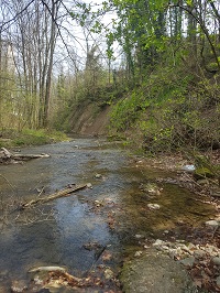 Site des Eaux-Minérales Rivière La Morges, image libre de droit, Christian Michaud site-des-eaux-minerales-riviere-la-morges-image-libre-de-droit-christian-michaud