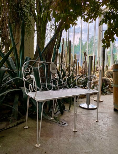 Serre du Conservatoire et Jardin botaniques de Genève 