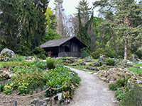 Le Jardin Botanique Alpin au coeur de la cité de Meyrin