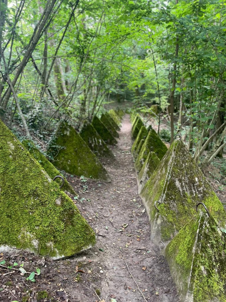 Blocs de béton sur les Sentier des Toblerones à Gland