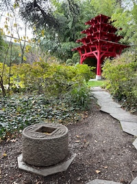 Le jardin japonais de Genève